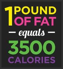 1 pound of fat